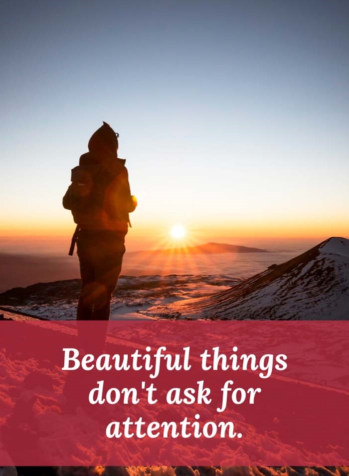Beautiful things don’t ask for attention.