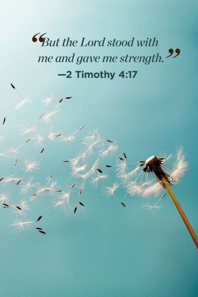 holy bible quote about strength