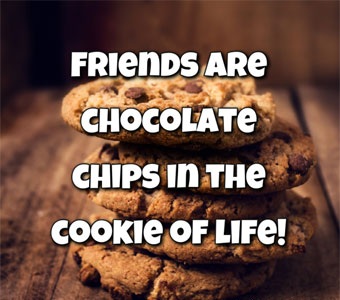 Friends are chocolate chips in the cookie of life