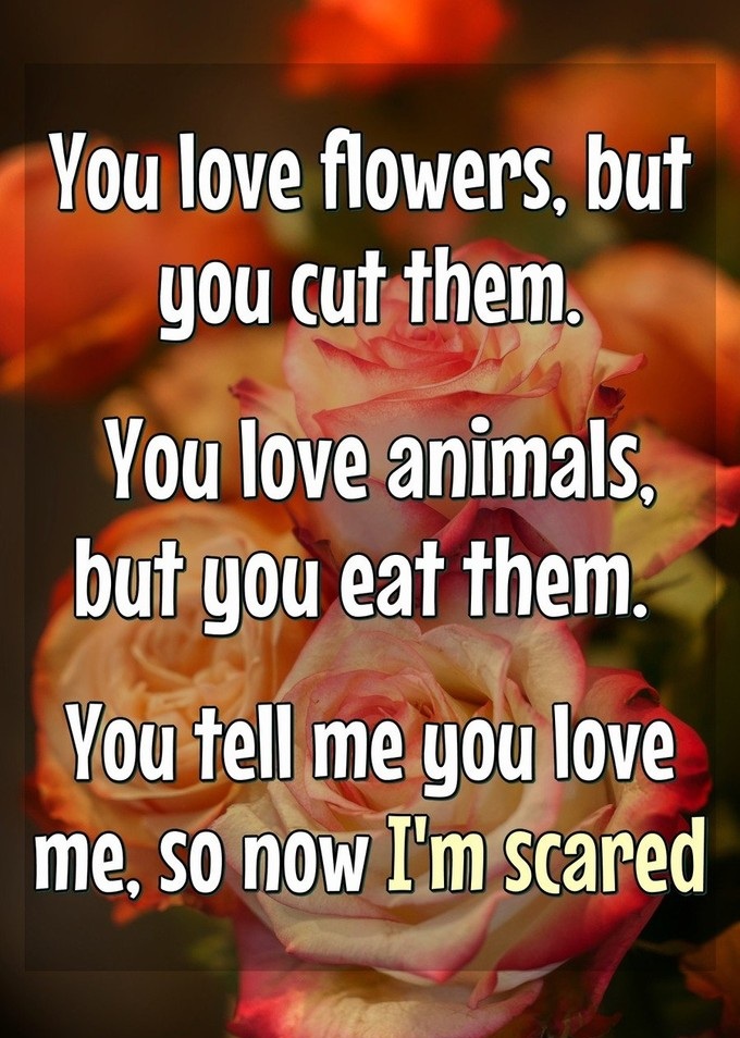 You love flowers but you cut them. You love animals but you eat them. You tell me you love me so now Im scared