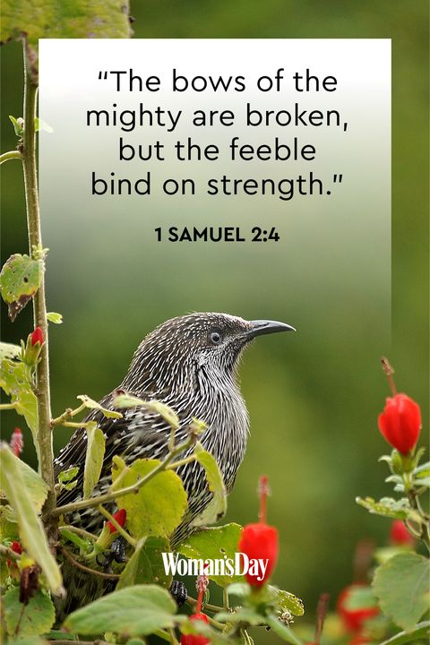 samuel Bible quotes of strength 