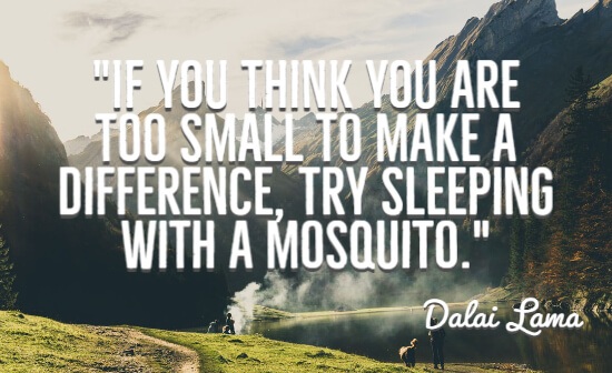 If you think you are too small to make a difference try sleeping with a mosquito.”
