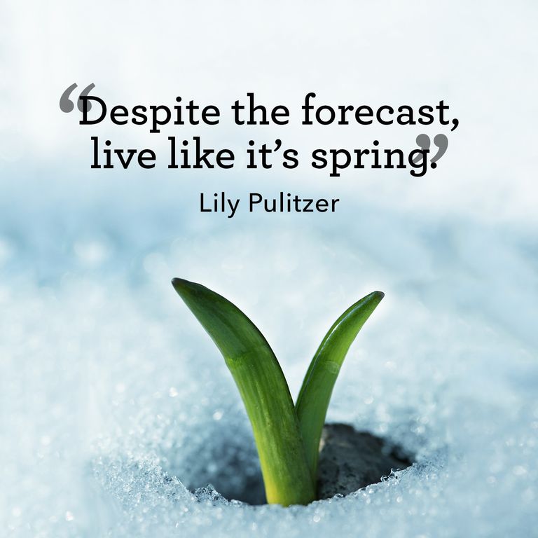 Despite the forecast live like its spring