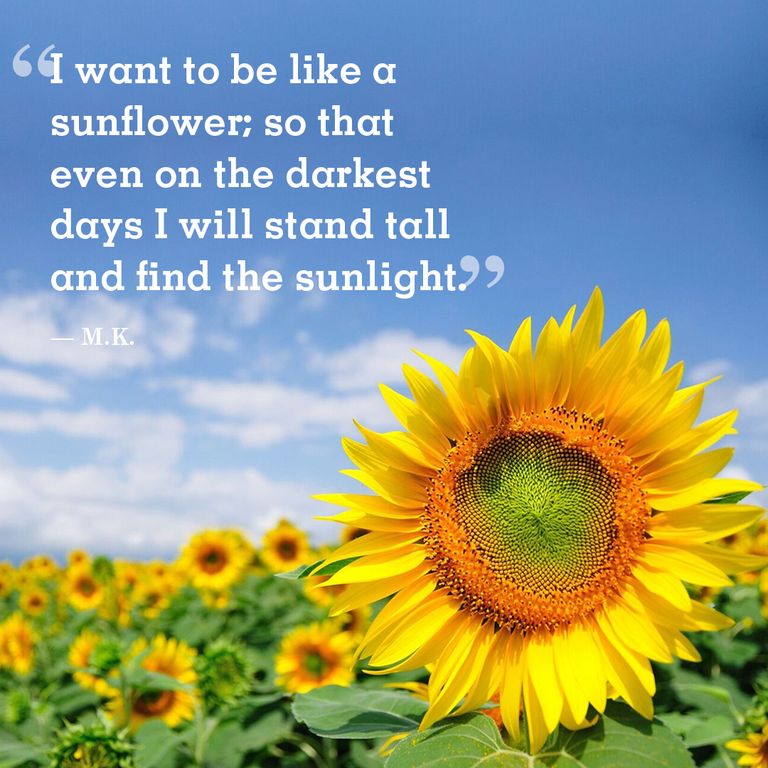 I want to be like a sunflower so that even on the darkest days I will stand tall and find the sunlight