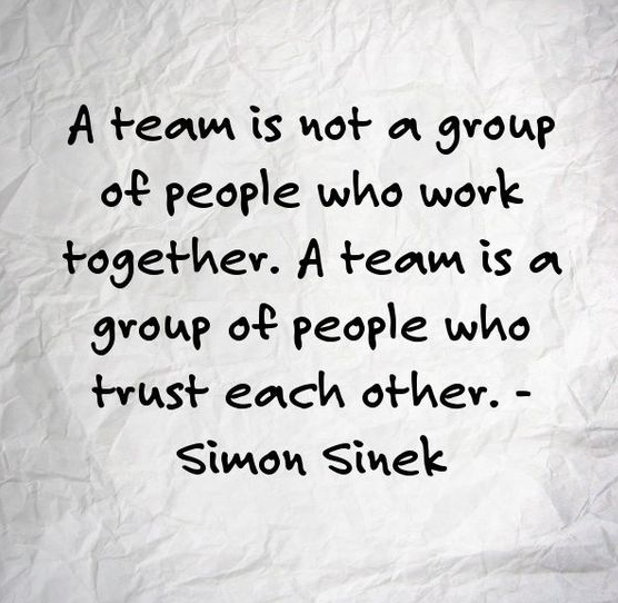 A team is not a group of people who work together. A team is a group of people who trust each other.” – Simon Sinek