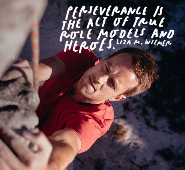 Perseverance is the act of true role models and heroes.” – Liza Wiemer