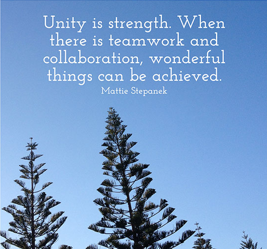 Unity is strength… when there is teamwork and collaboration wonderful things can be achieved.” – Mattie Stepanek