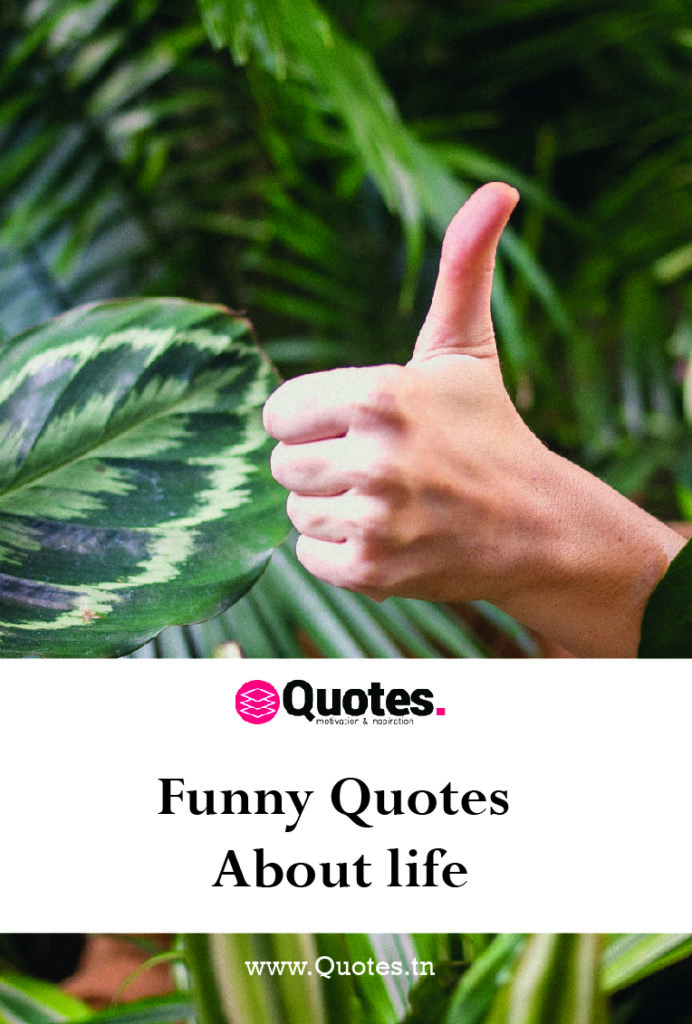 Funny Quotes About life