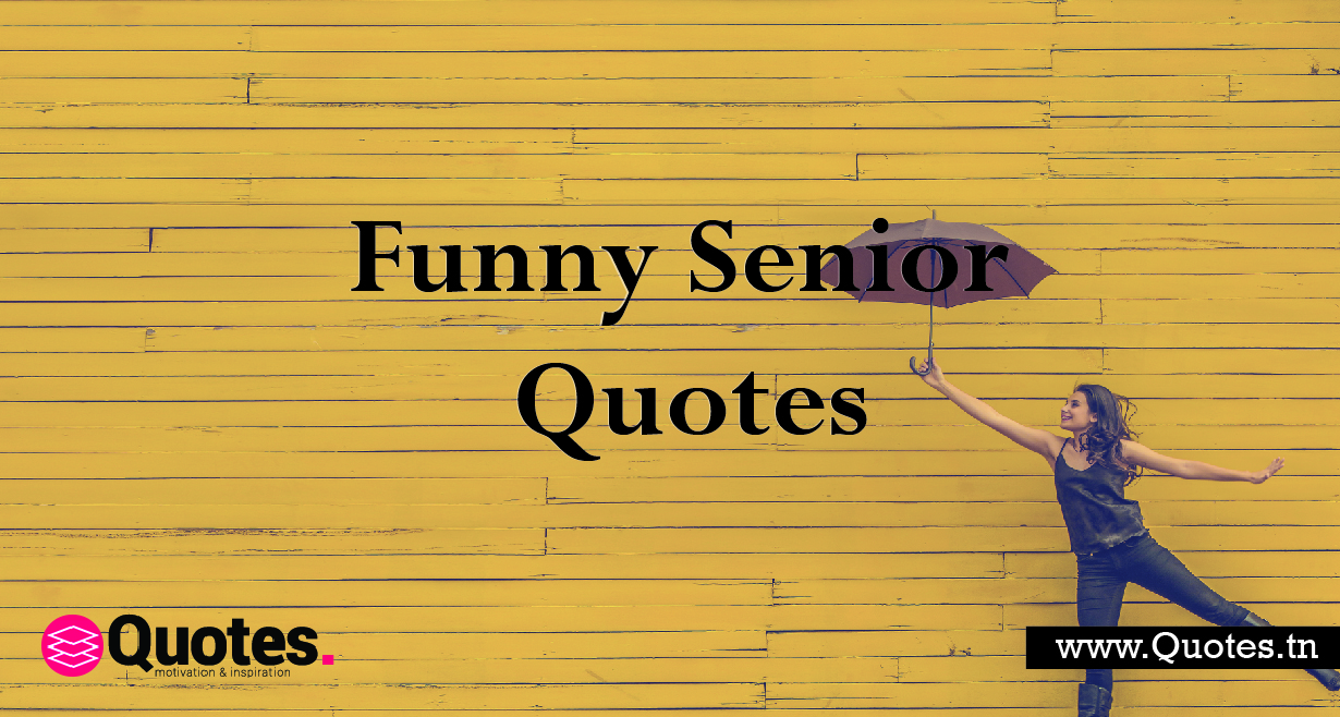 Funny Senior Quotes Of 2020 That Are Impossible Not To Laugh At