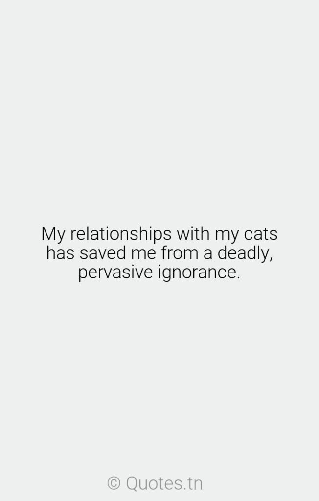 My relationships with my cats has saved me from a deadly