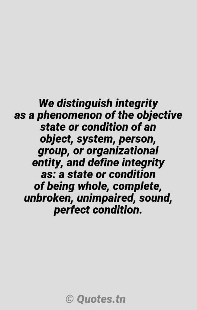 We distinguish integrity as a phenomenon of the objective state or condition of an object