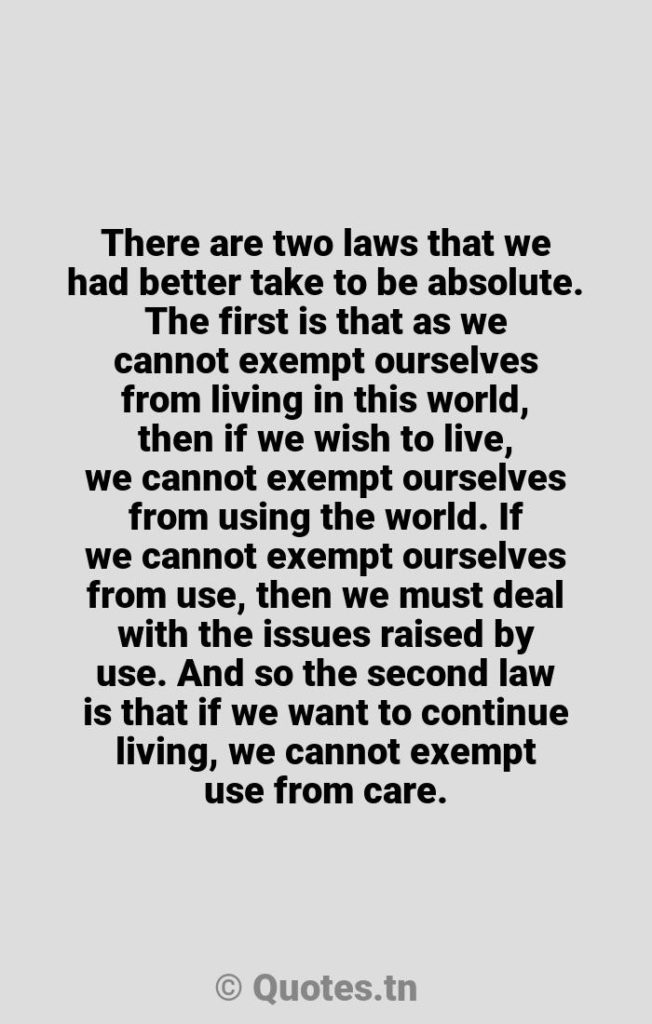 There are two laws that we had better take to be absolute. The first is that as we cannot exempt ourselves from living in this world