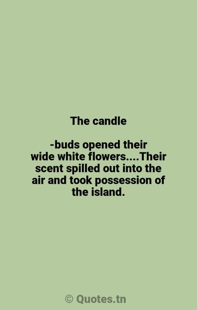 The candle-buds opened their wide white flowers....Their scent spilled out into the air and took possession of the island. - Islands Quotes by William Gilmore Simms
