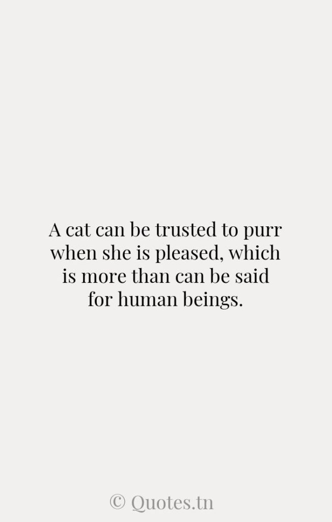 A cat can be trusted to purr when she is pleased