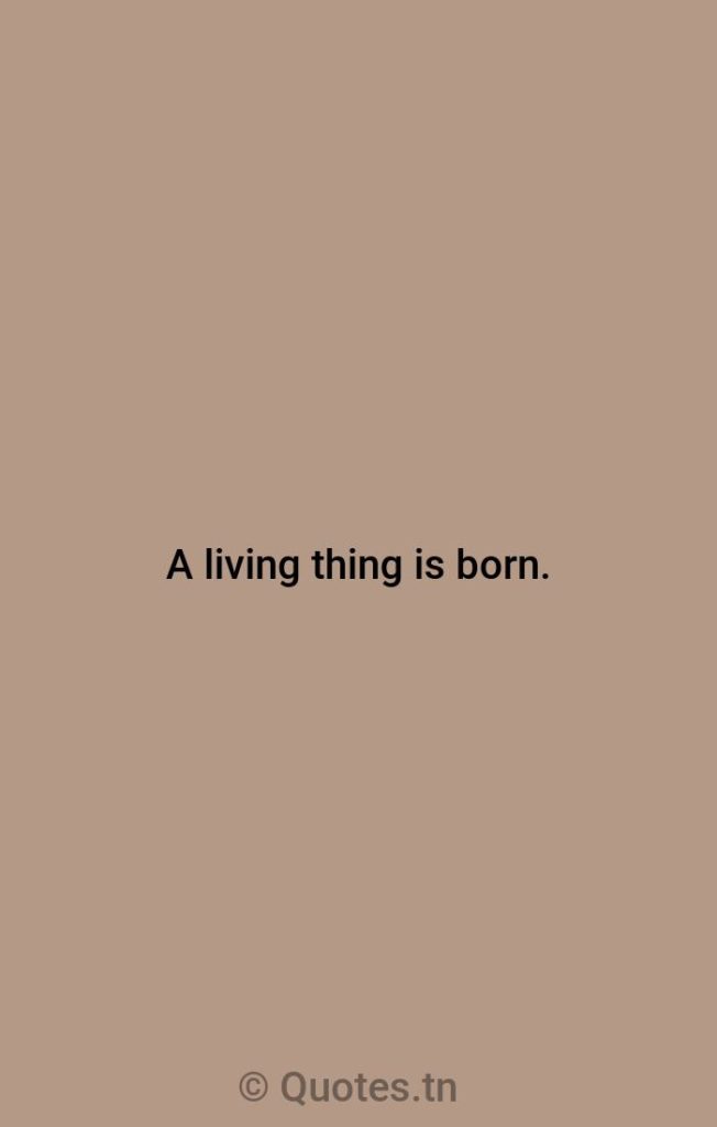 A living thing is born. - League Quotes by Woodrow Wilson