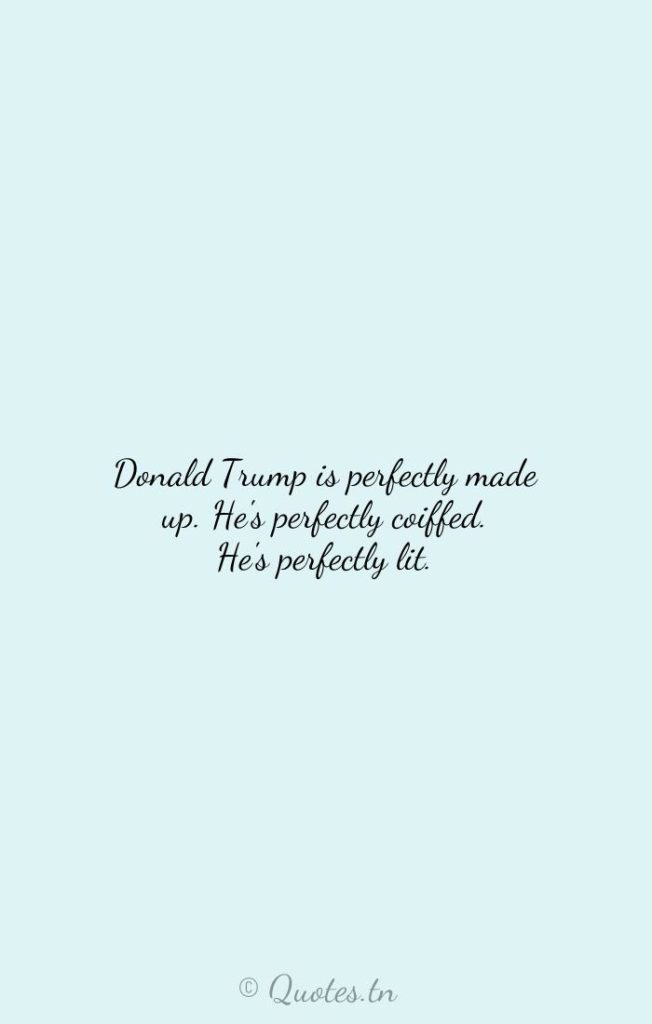 Donald Trump is perfectly made up. He's perfectly coiffed. He's perfectly lit. - Lit Quotes by Roger Stone