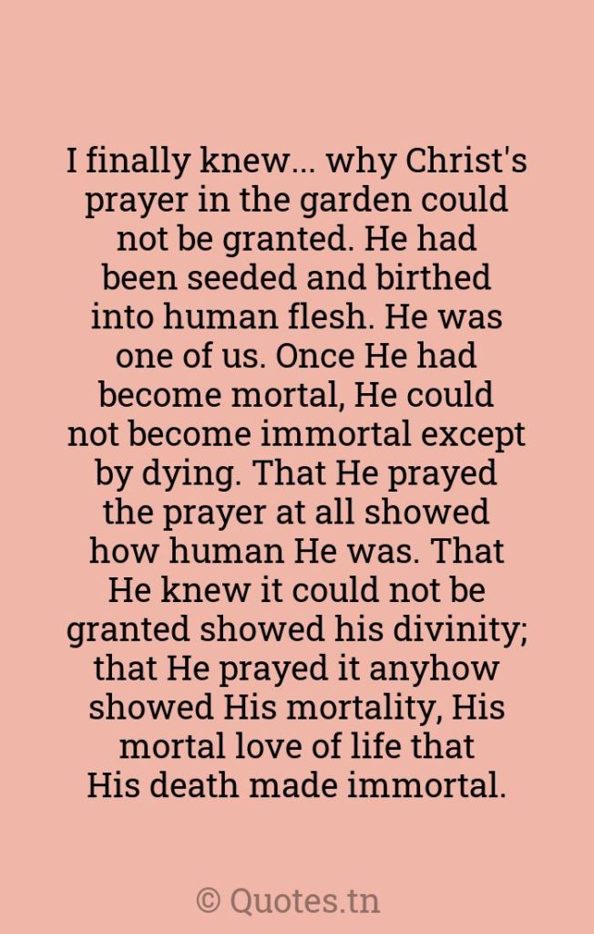 I finally knew... why Christ's prayer in the garden could not be granted. He had been seeded and birthed into human flesh. He was one of us. Once He had become mortal