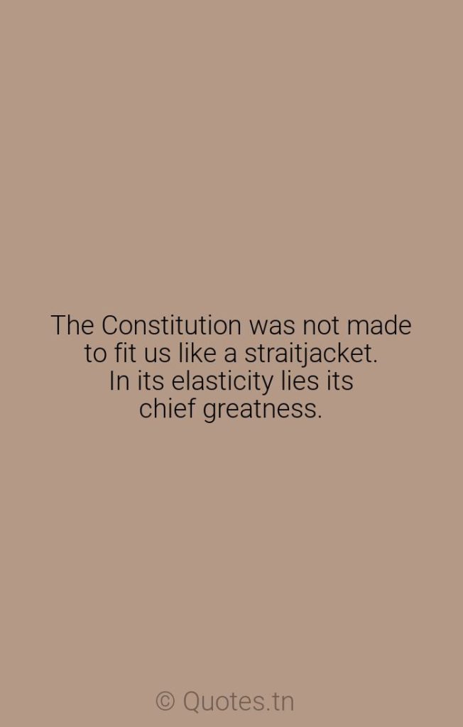 The Constitution was not made to fit us like a straitjacket. In its elasticity lies its chief greatness. - Lying Quotes by Woodrow Wilson