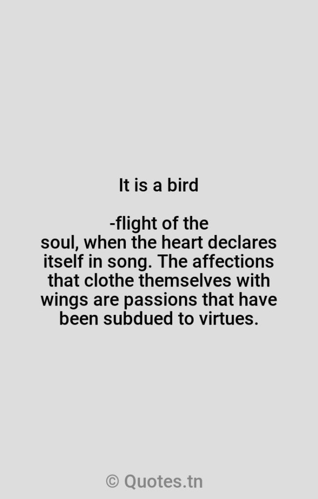 It is a bird-flight of the soul