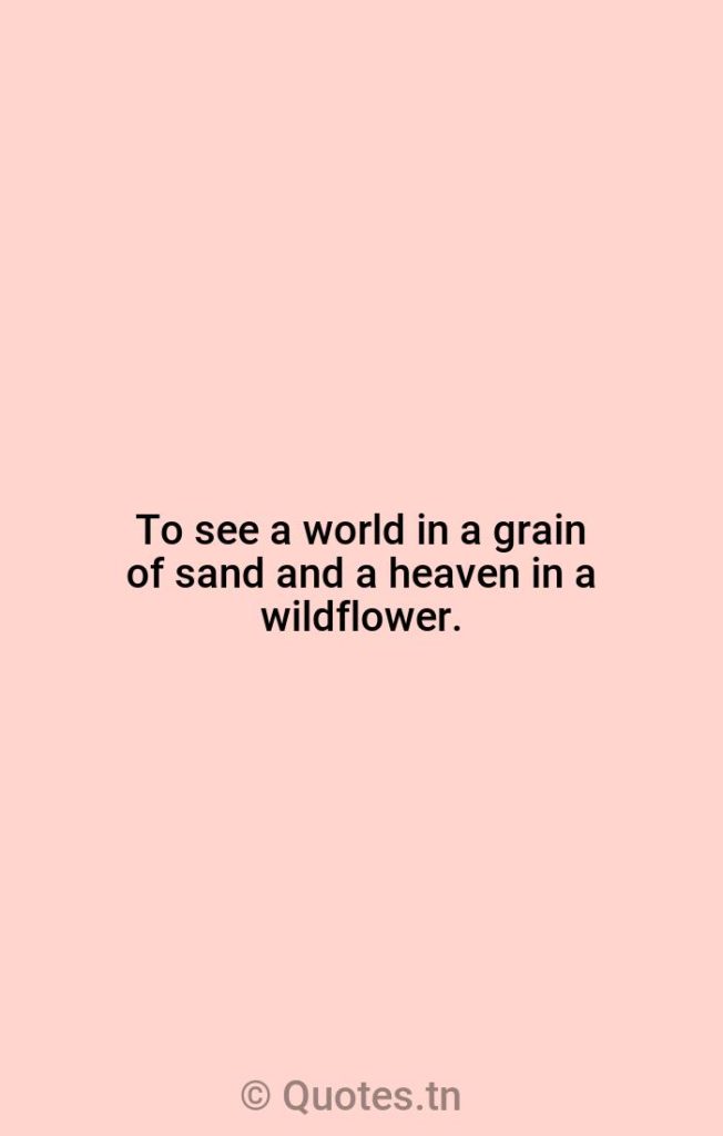 To see a world in a grain of sand and a heaven in a wildflower. - Nature Quotes by William Blake
