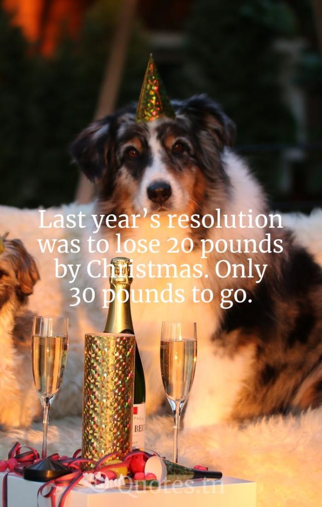 Last year’s resolution was to lose 20 pounds by Christmas. Only 30 pounds to go. - New Year Quotes by