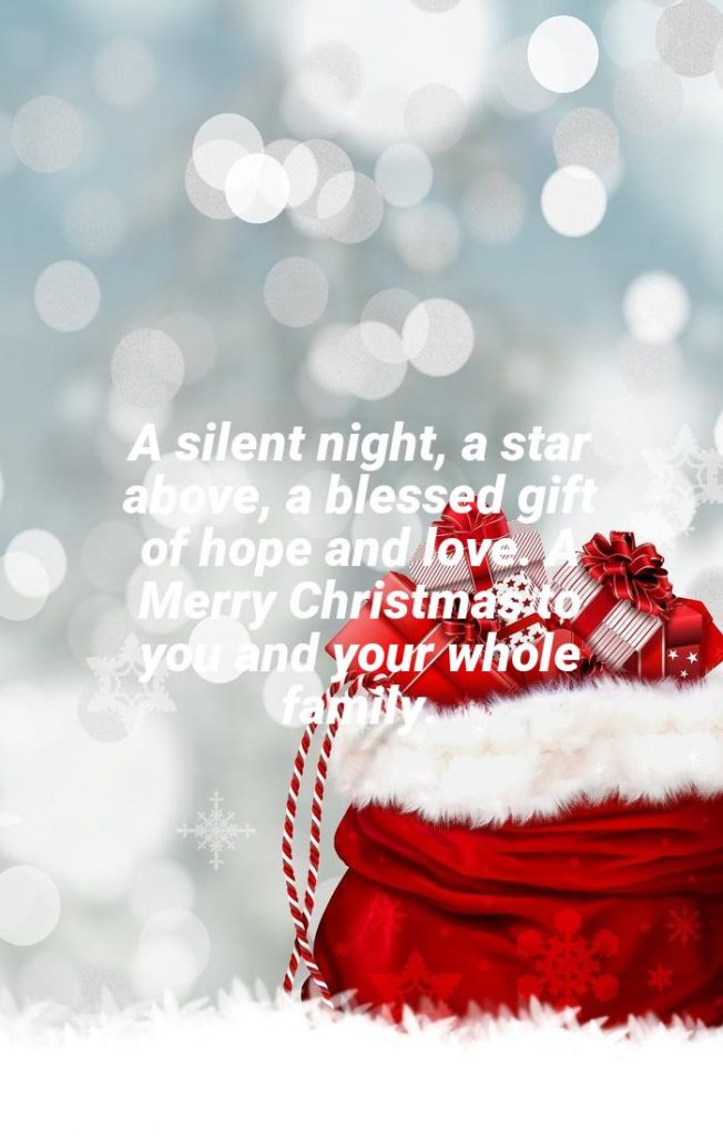 A silent night, a star above, a blessed gift of hope and love. A Merry Christmas to you and your whole family. - Religious Christmas by