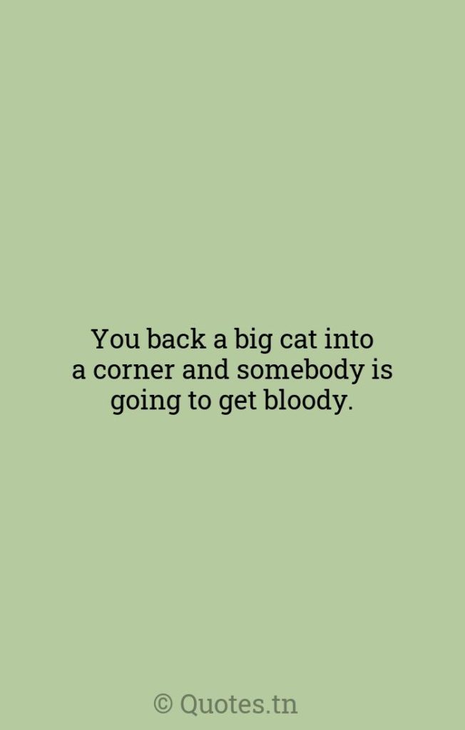 You back a big cat into a corner and somebody is going to get bloody. - Somebody Quotes by Ron Perlman
