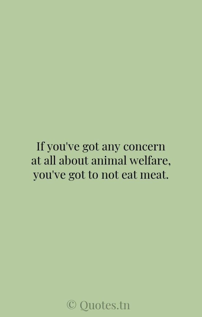 If you've got any concern at all about animal welfare
