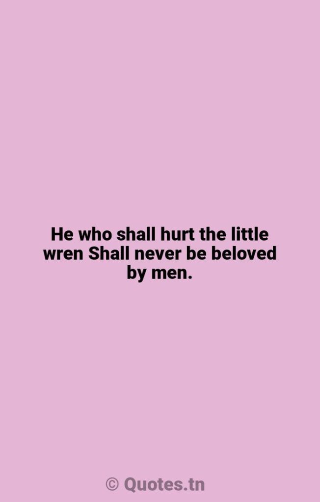 He who shall hurt the little wren Shall never be beloved by men. - Wrens Quotes by William Blake